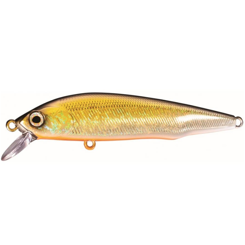 https://outdoorfeat.cl/web/wp-content/uploads/2023/01/2405401101.png