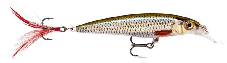 Señuelo Rapala X-Rap Minnow: Realismo 3D, Acción Slashbait, Pesca Depredadores