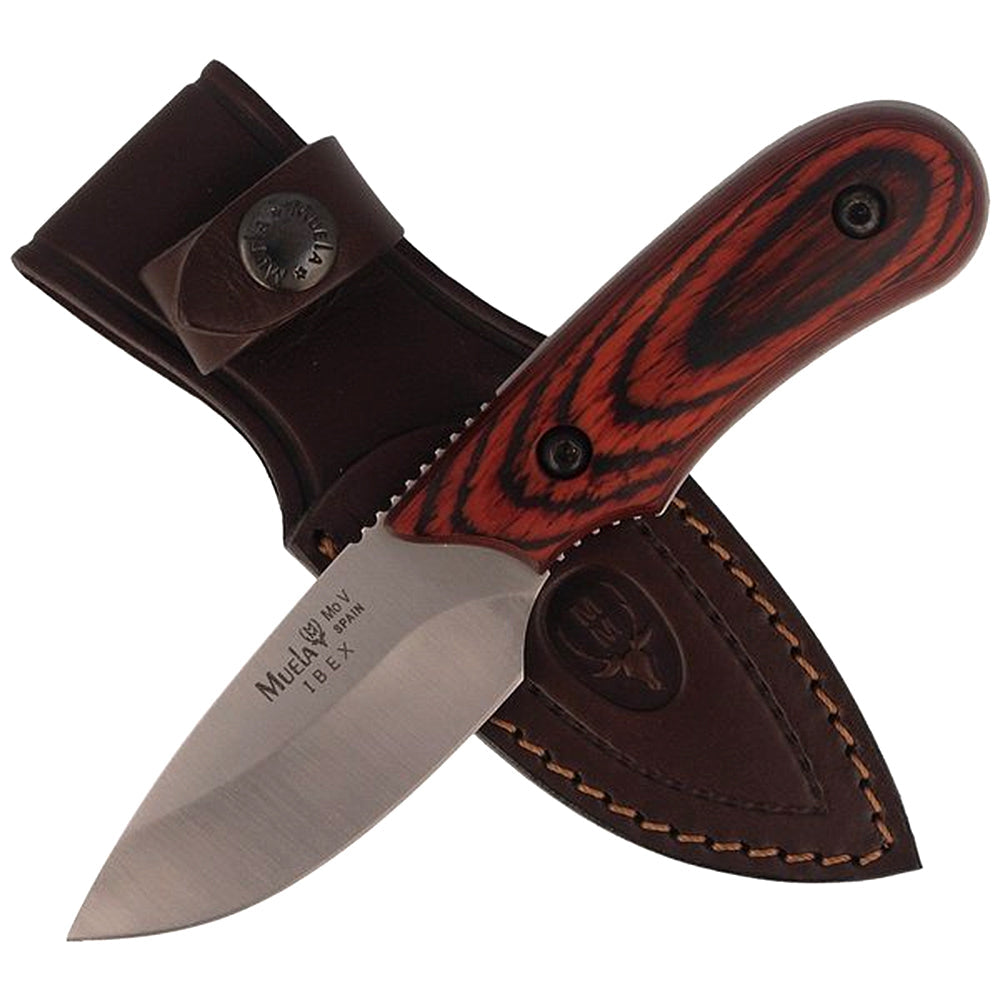 https://elsenuelo.cl/web/wp-content/uploads/2023/07/CUCHILLO-MUELA-IBEX-8R.jpg